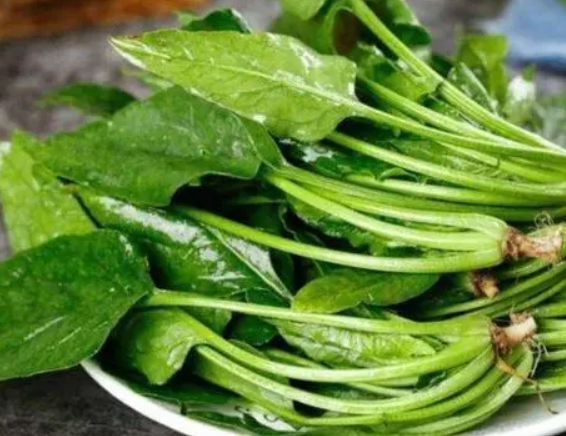 菠菜富含叶酸
