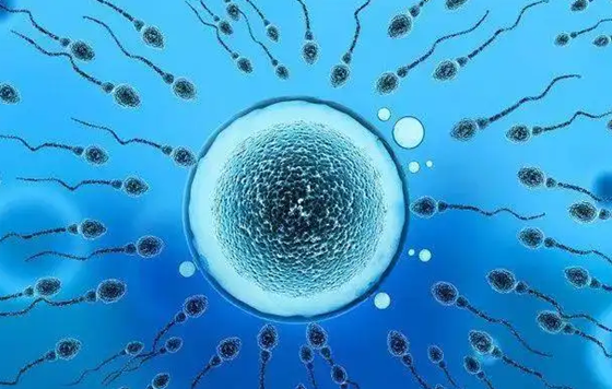 N5)B(KG0SVZ487YA)}5VFSG.png